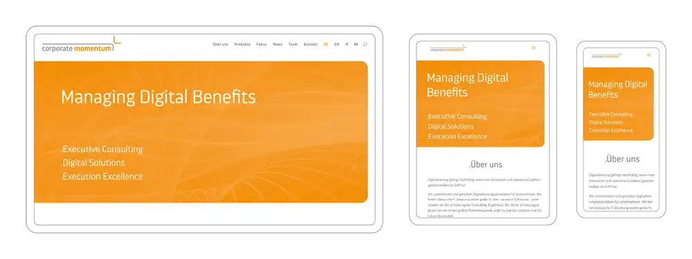 Web design IT consulting company
